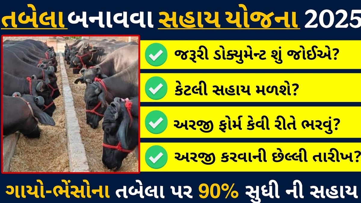 દૂધ-પશુપાલકો માટે ખુશખબર: સરકાર આપશે તબેલા બનાવવા ભારી સહાય – અરજી કરવાની છેલ્લી તારીખ ચૂકી ના જશો!